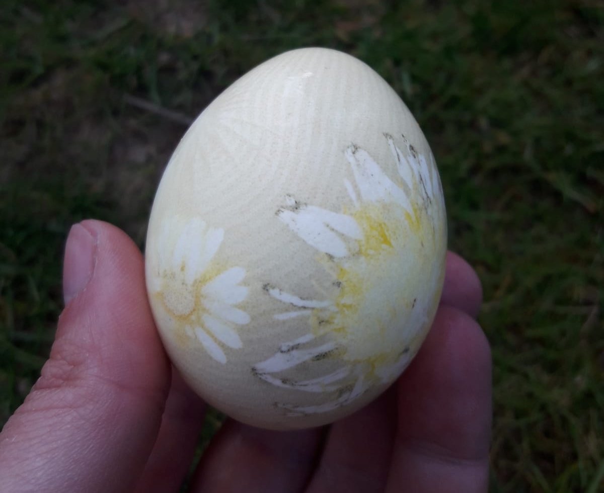 Opnemen Tahiti reinigen Eieren verven - Struin